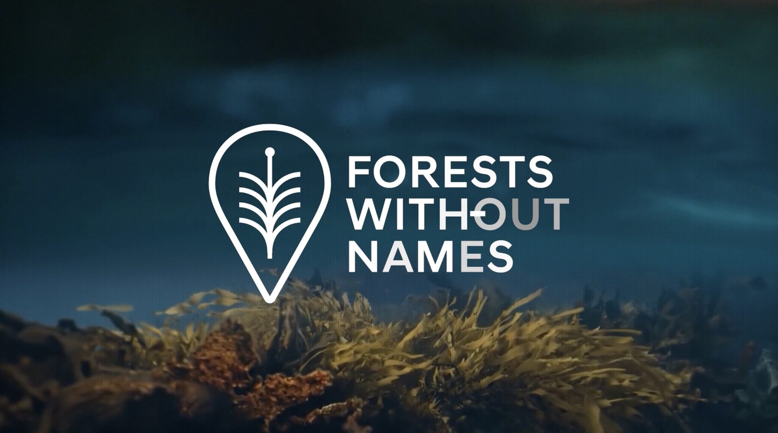 Forests Without Names